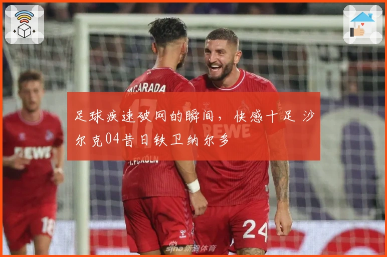 足球疾速破网的瞬间，快感十足 沙尔克04昔日铁卫纳尔多