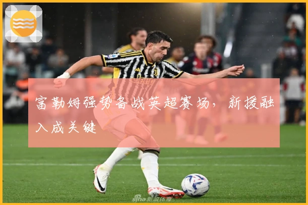 富勒姆强势备战英超赛场，新援融入成关键