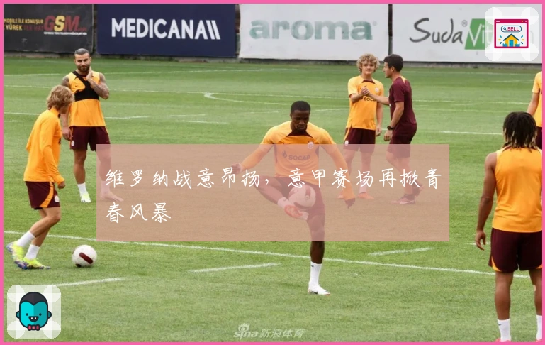 维罗纳战意昂扬，意甲赛场再掀青春风暴