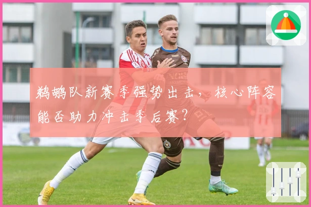 鹈鹕队新赛季强势出击，核心阵容能否助力冲击季后赛？