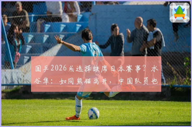 国乒2026或选择缺席日本赛事？水谷隼：如同熊猫离开，中国队员也可能如此