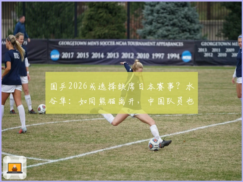 国乒2026或选择缺席日本赛事？水谷隼：如同熊猫离开，中国队员也可能如此